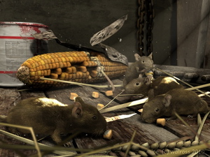 010_mice.jpg