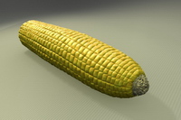 Bild "Arbeiten:mice_01_tn.jpg"