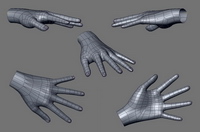 Bild "Arbeiten:wickie_06_tn.jpg"